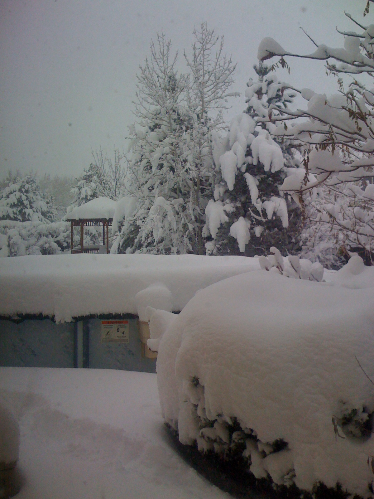 It was a White Halloween!
