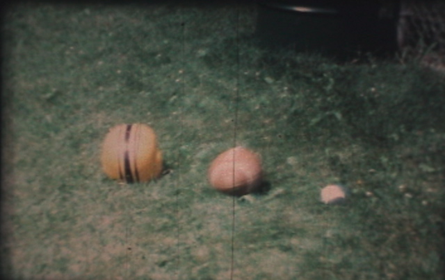 Picture 13