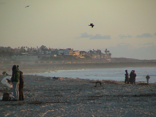 DSC00135.JPG