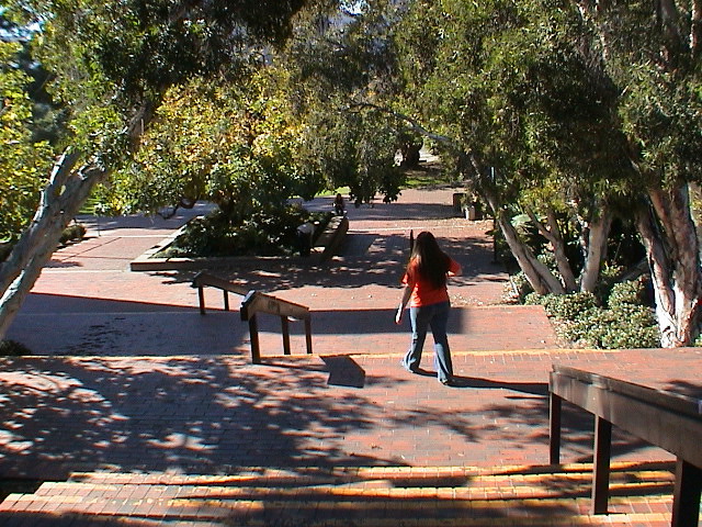 DSC00026.JPG