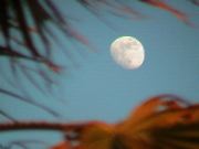 DSC00134.JPG