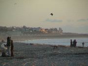 DSC00135.JPG