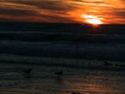 DSC00142.JPG