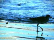DSC00143.JPG