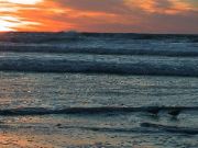 DSC00144.JPG