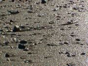 DSC00151.JPG