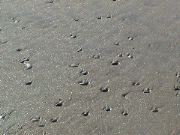 DSC00155.JPG