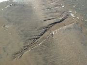 DSC00157.JPG