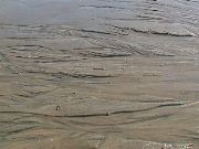 DSC00158.JPG