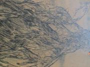 DSC00164.JPG