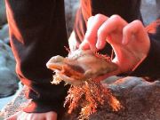 DSC00175.JPG