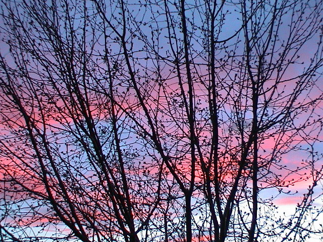 DSC00080.JPG