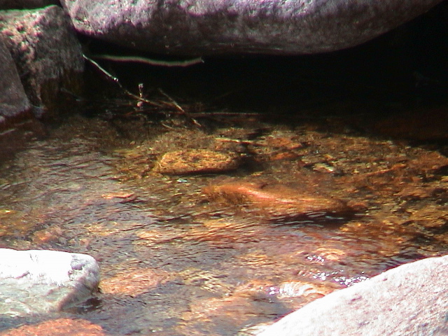 DSC00070.JPG