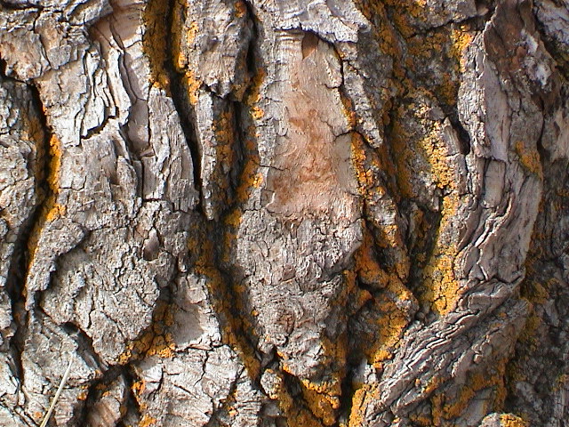 DSC00073.JPG