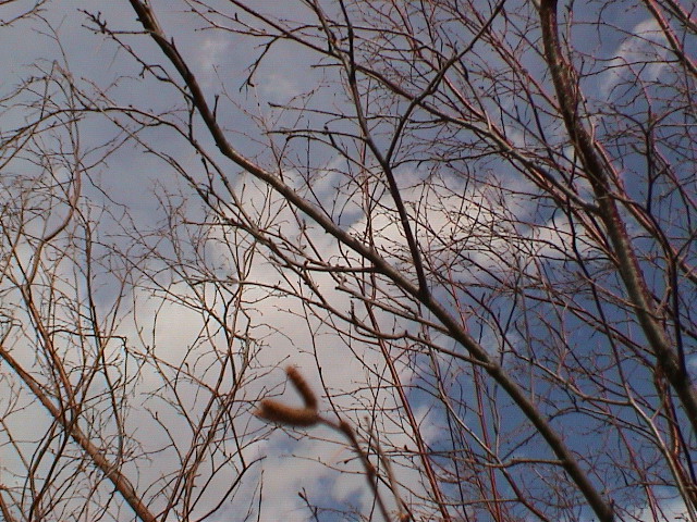 DSC00075.JPG