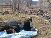 DSC00066.JPG