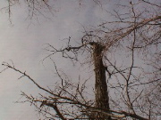 DSC00067.JPG