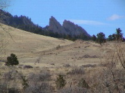 DSC00078.JPG