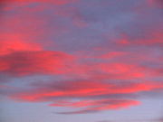 DSC00079.JPG