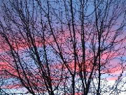 DSC00080.JPG
