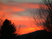 DSC00081.JPG