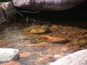 DSC00070.JPG