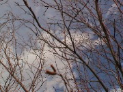 DSC00075.JPG