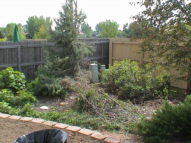DSC00069.JPG
