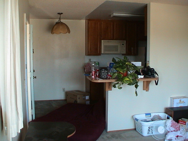 DSC00379.JPG