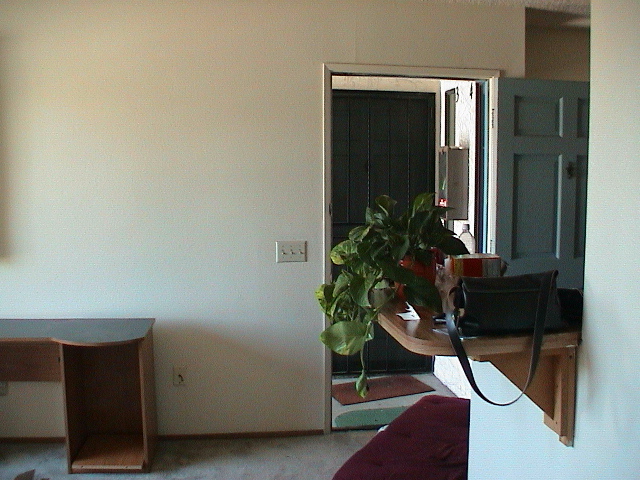 DSC00385.JPG