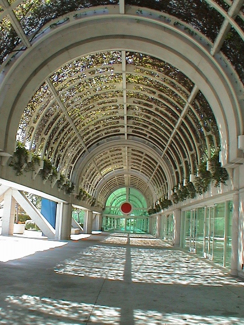 DSC00412.JPG