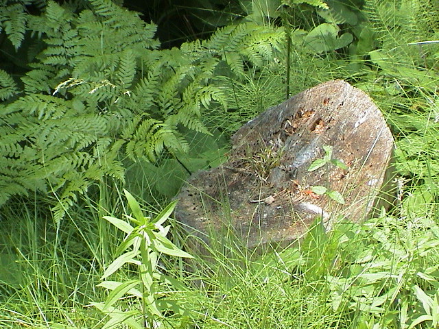 DSC00026.JPG