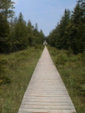 DSC00018.JPG