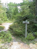 DSC00019.JPG