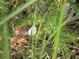 DSC00022.JPG