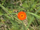 DSC00024.JPG