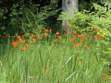 DSC00025.JPG