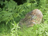 DSC00026.JPG