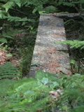 DSC00028.JPG
