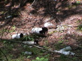 DSC00030.JPG