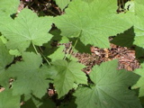 DSC00031.JPG