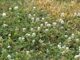 DSC00004.JPG
