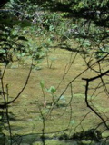 DSC00034.JPG