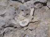 DSC01431.JPG