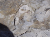 DSC01433.JPG
