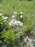 DSC01435.JPG