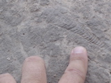 DSC01437.JPG