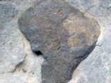 DSC01438.JPG