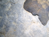 DSC01440.JPG