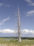 DSC01442.JPG